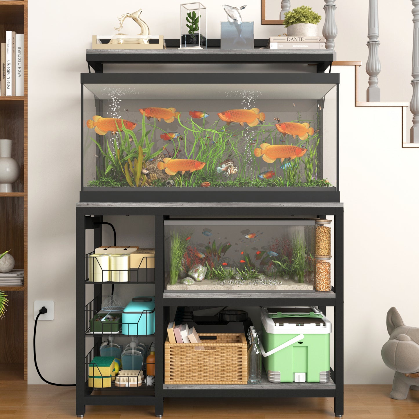 Aquarium Stands with Power Outlets