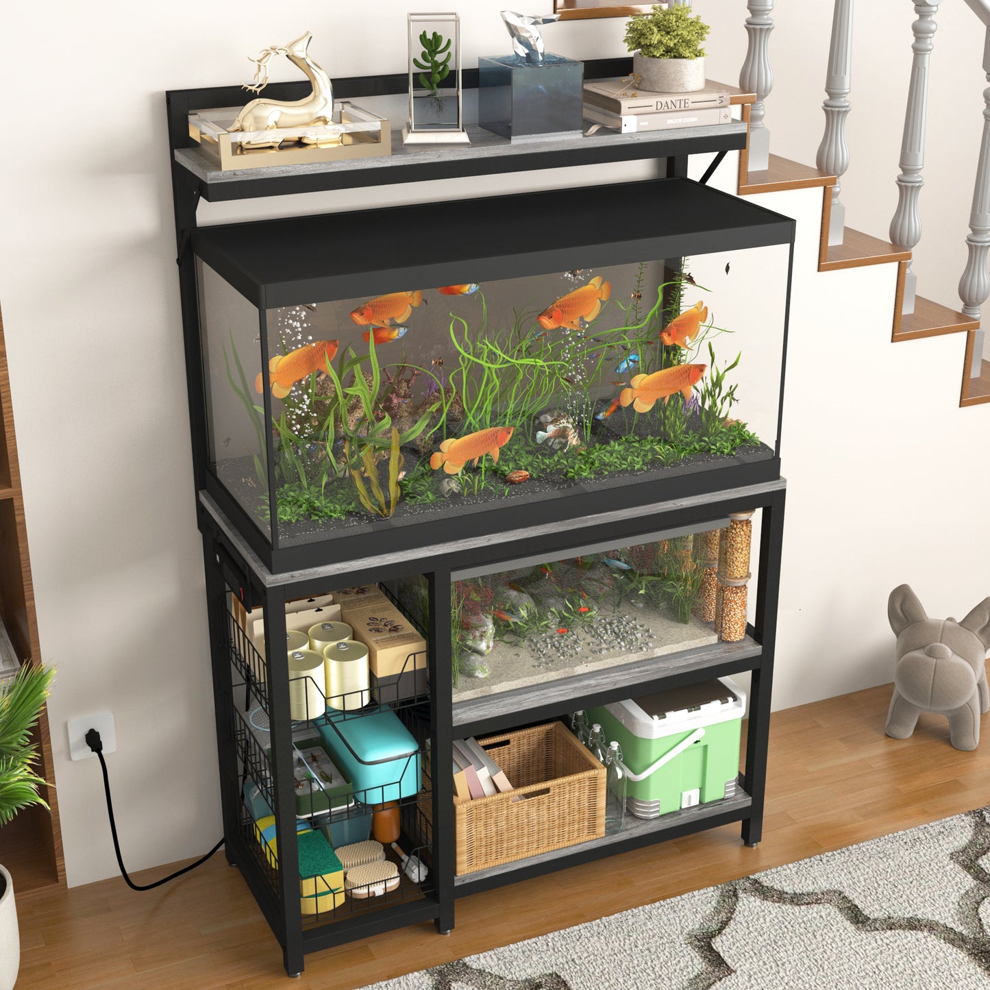 Aquarium Stands with Power Outlets