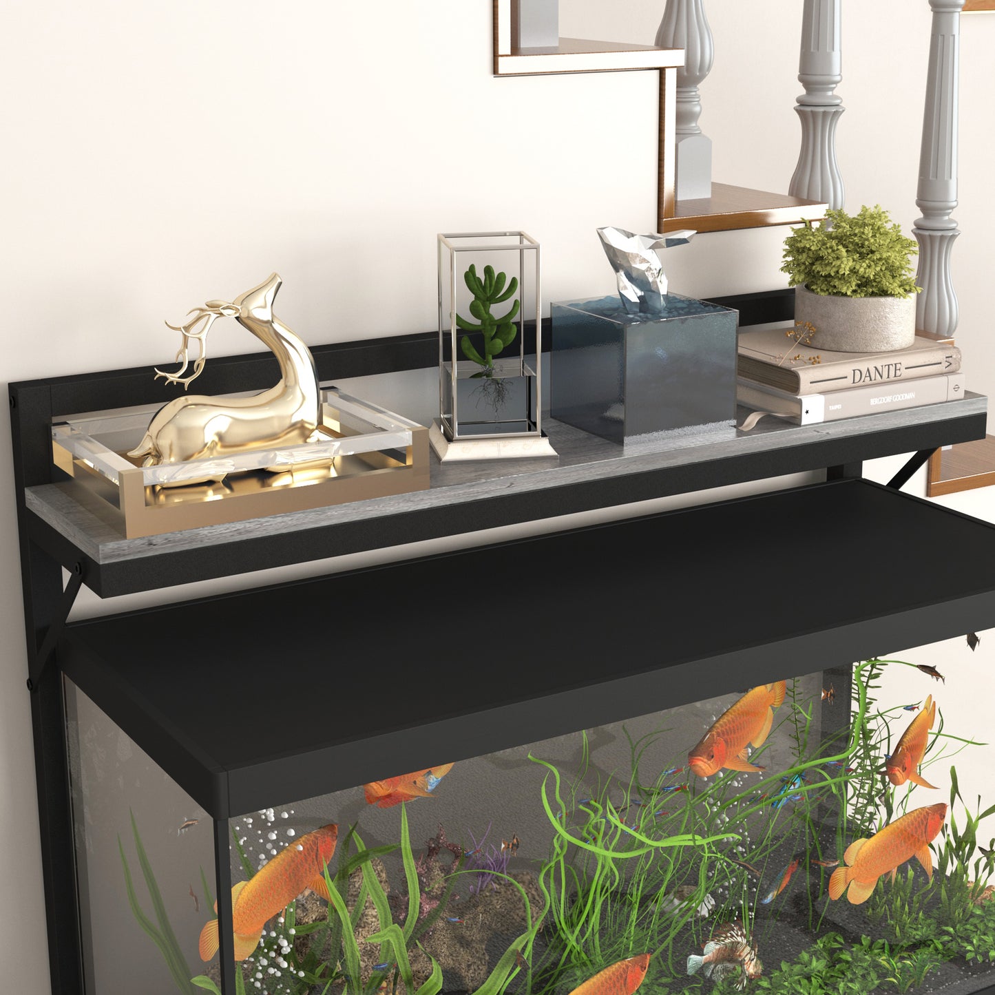 Aquarium Stands with Power Outlets